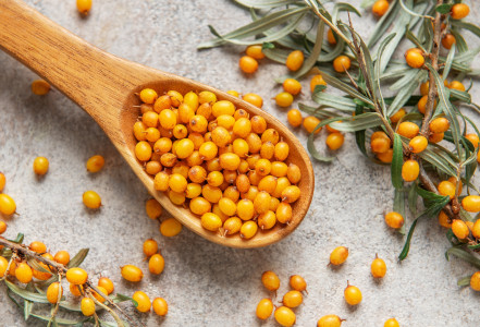 Co se skrývá v oranžových plodech rakytníku?