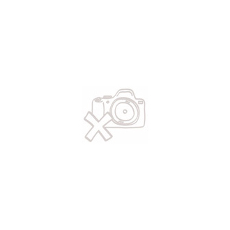 Import Foractiv.cz - Lion´s Mane 100g