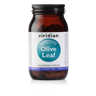 Import Foractiv.cz - Olive Leaf 90 kapslí