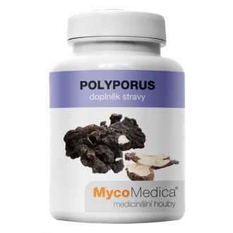 KOMPLETNÍ SORTIMENT - MycoMedica Polyporus 90 cps.