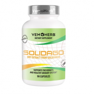 Import Foractiv.cz - Solidago 90 kapslí (Zlatobýl obecný)