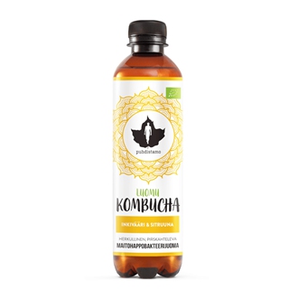 Import Foractiv.cz - Kombucha BIO 370ml ginger lemon (Bio Kombucha zázvor-citrón)