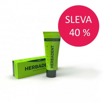 IMPORT Ryor - HERBADENT Bylinný mezizubní gel 25g