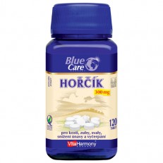 Hořčík 300 mg - 120 tbl.