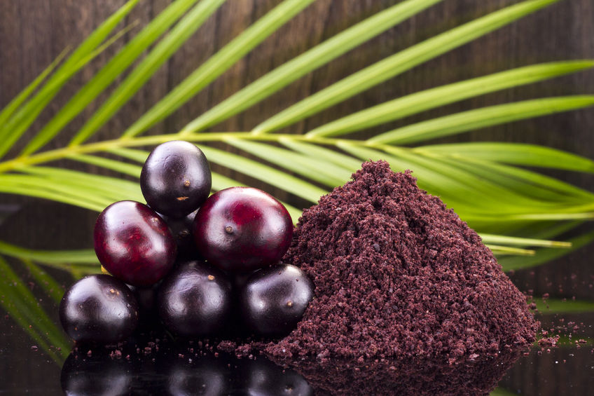plody acai berry
