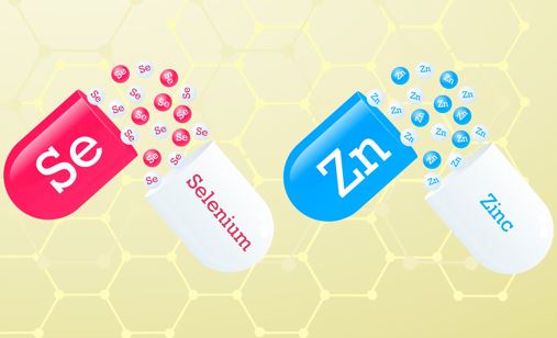 Zinek a jeho význam pro organismus