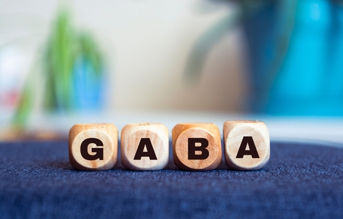 Gaba podpora pro mozek