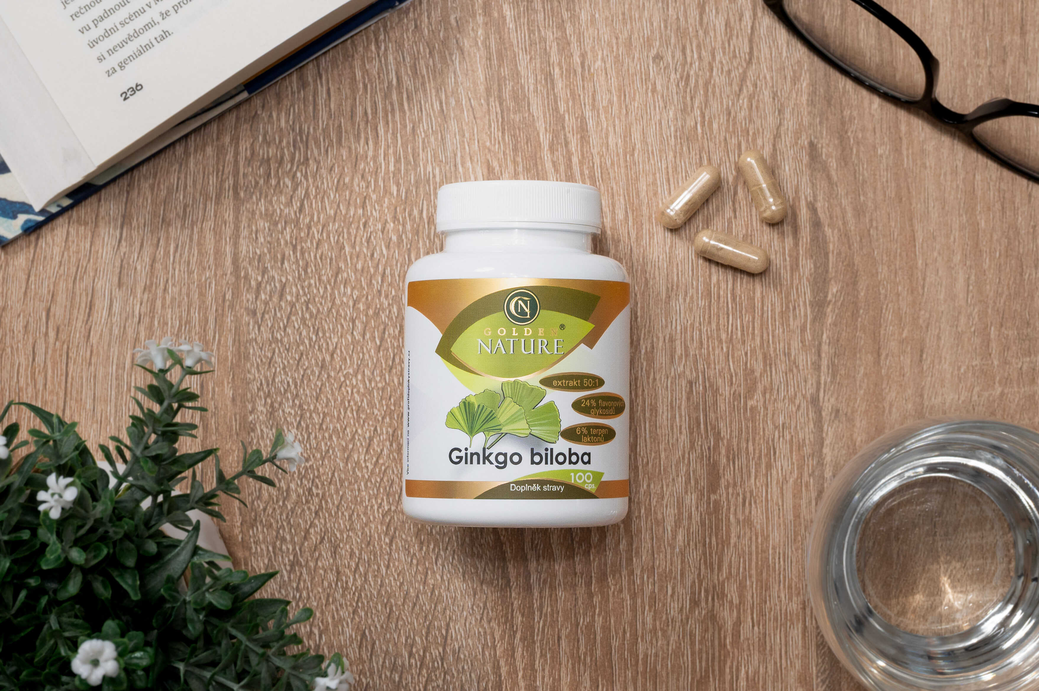 Golden Nature ginkgo biloba